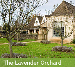 The Lavender Orchard